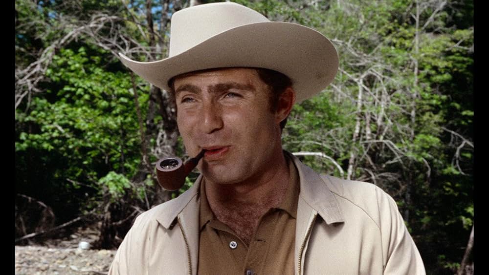 ヴィクセンの画像