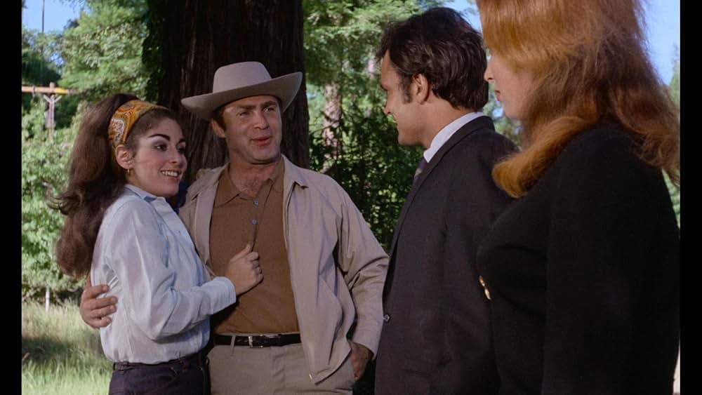 ヴィクセンの画像