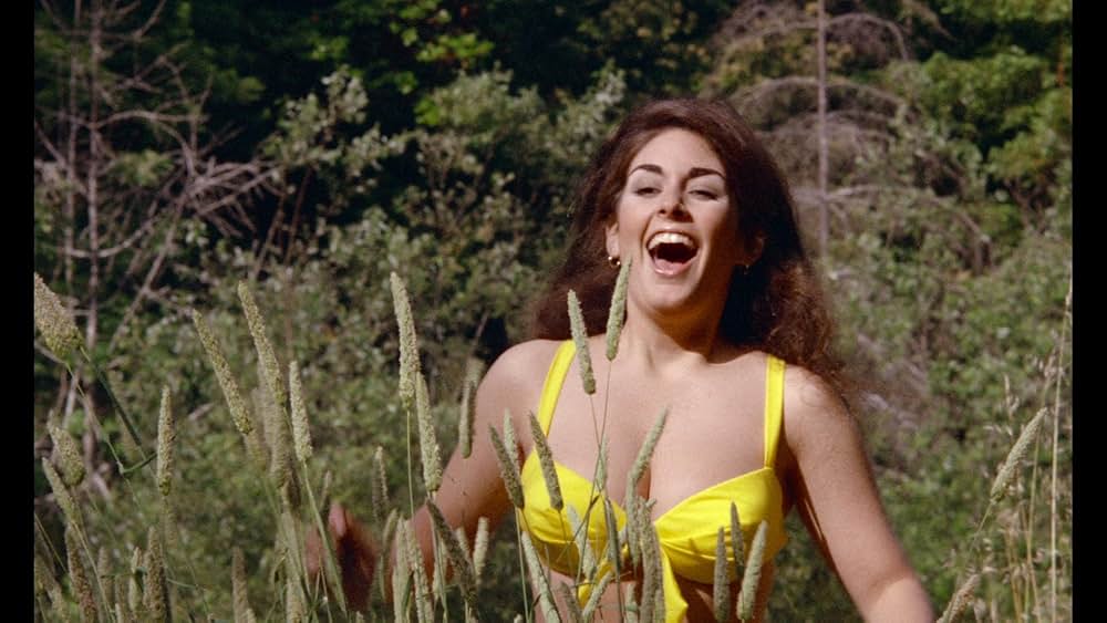 ヴィクセンの画像