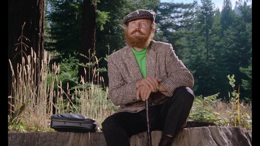 ヴィクセンの画像