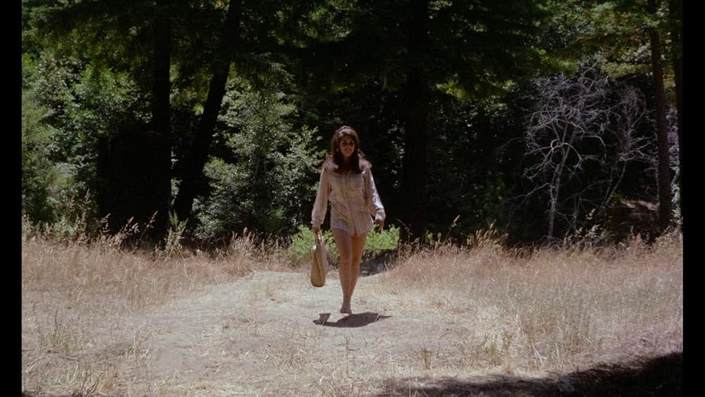 ヴィクセンの画像