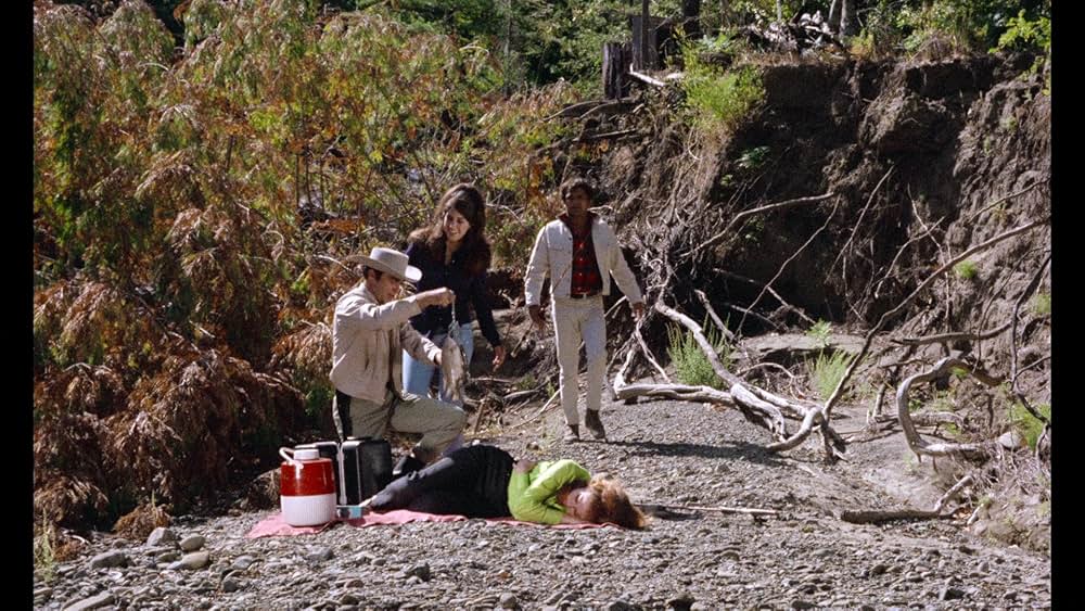 ヴィクセンの画像