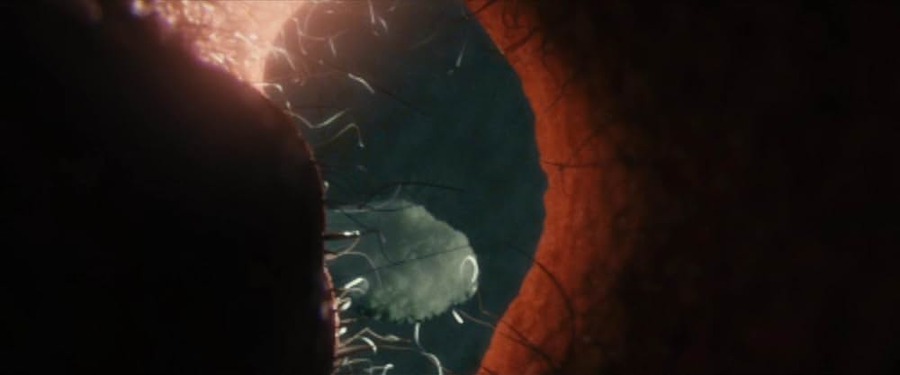 KNEECAP／ニーキャップの画像