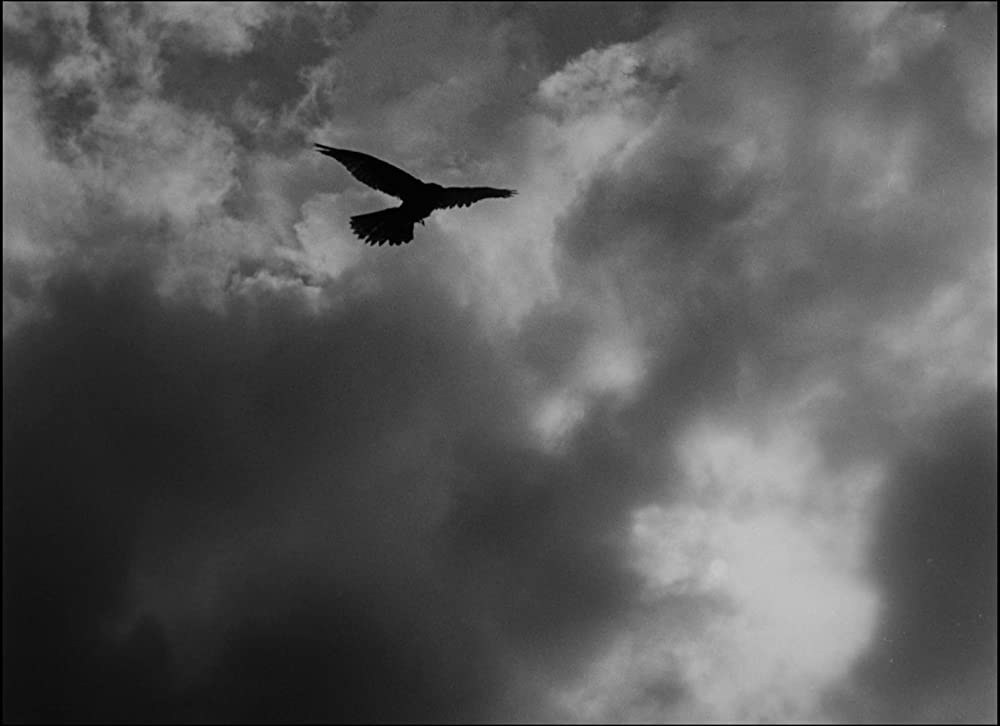 第七の封印の画像