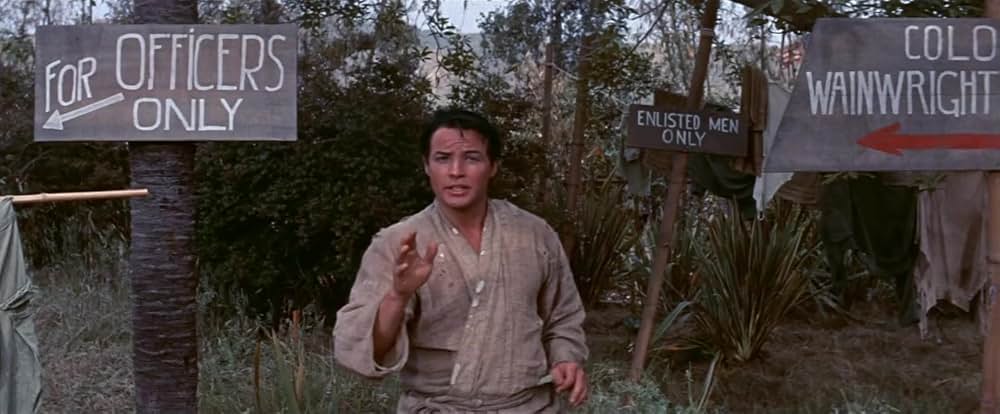 八月十五夜の茶屋の画像