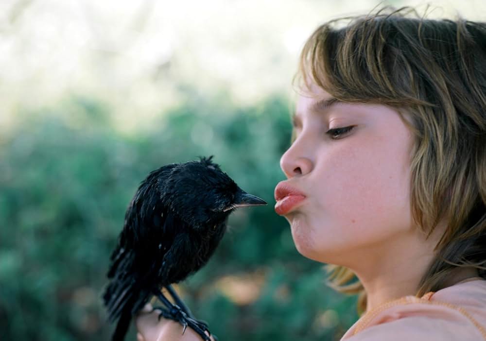 君がくれた翼／しあわせのカラスの画像