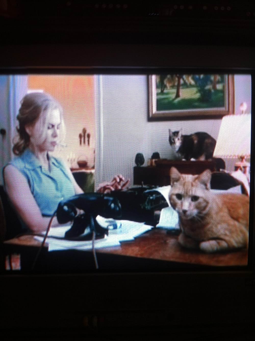 私が愛したヘミングウェイ／ヘミングウェイ＆ゲルホーンの画像