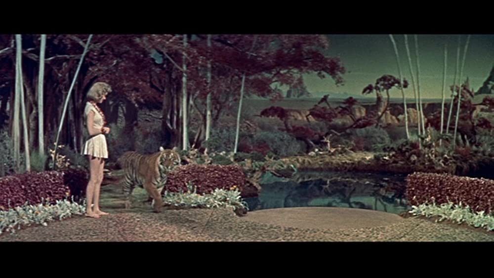 「禁断の惑星」アン・フランシスの画像