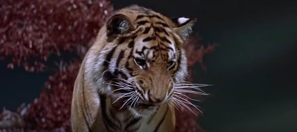 「禁断の惑星」の画像