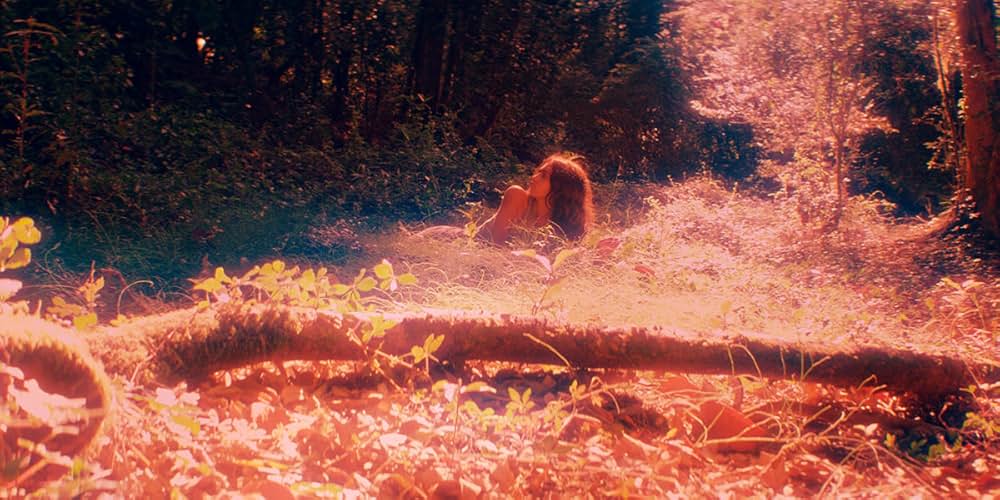 聖なる飼育の画像