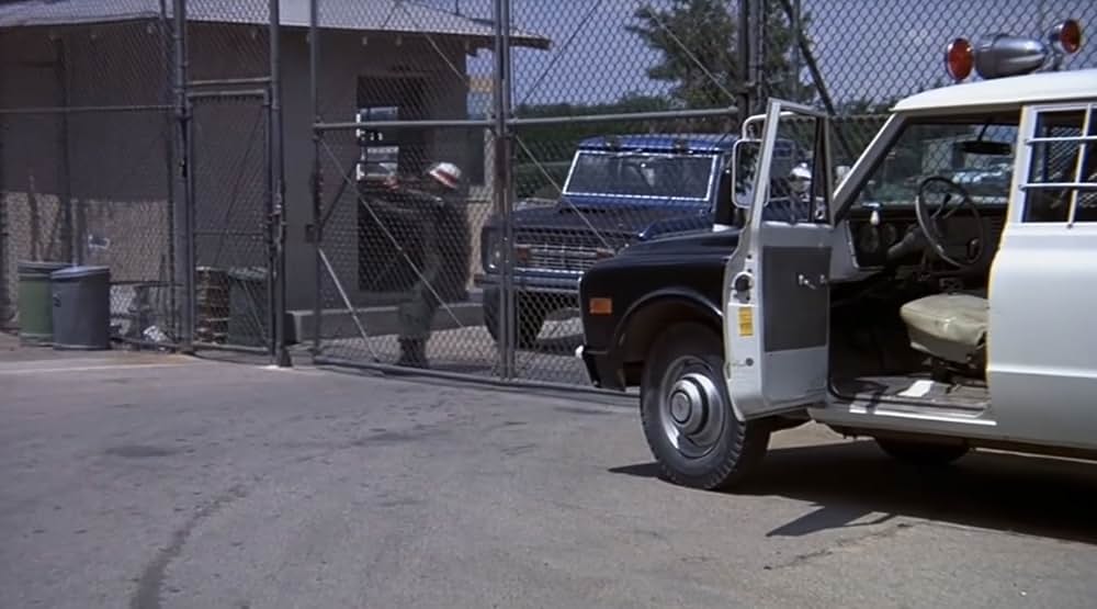 恐怖！蛇地獄の画像