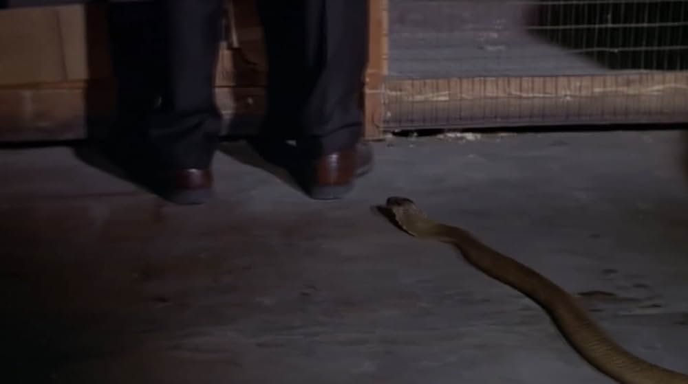 恐怖！蛇地獄の画像