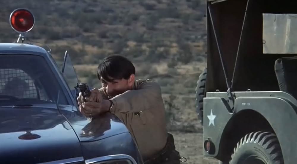 恐怖！蛇地獄の画像