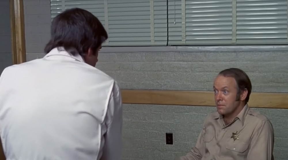 恐怖！蛇地獄の画像