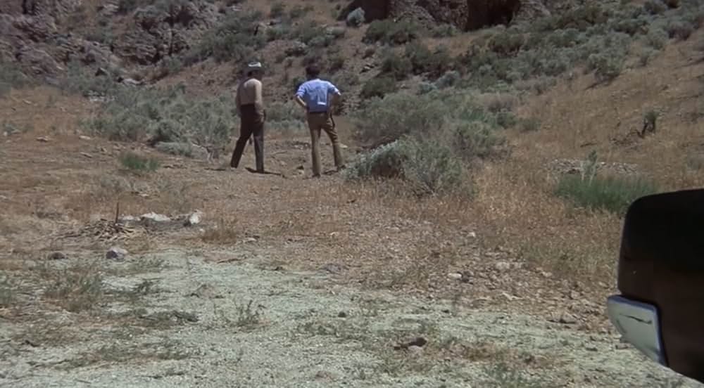 恐怖！蛇地獄の画像