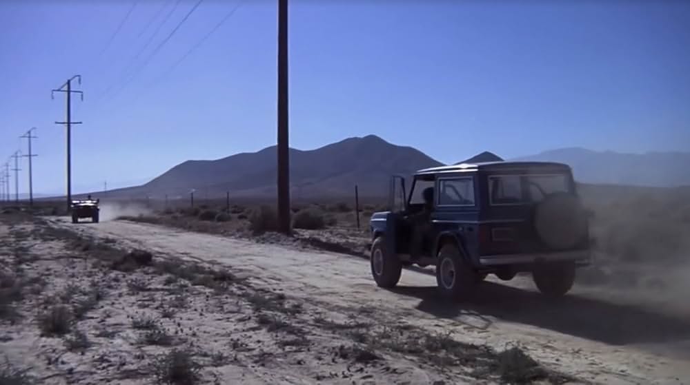 恐怖！蛇地獄の画像