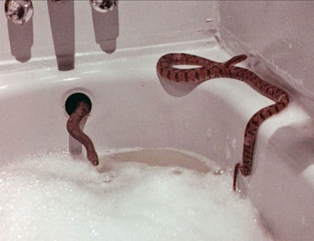 恐怖！蛇地獄の画像