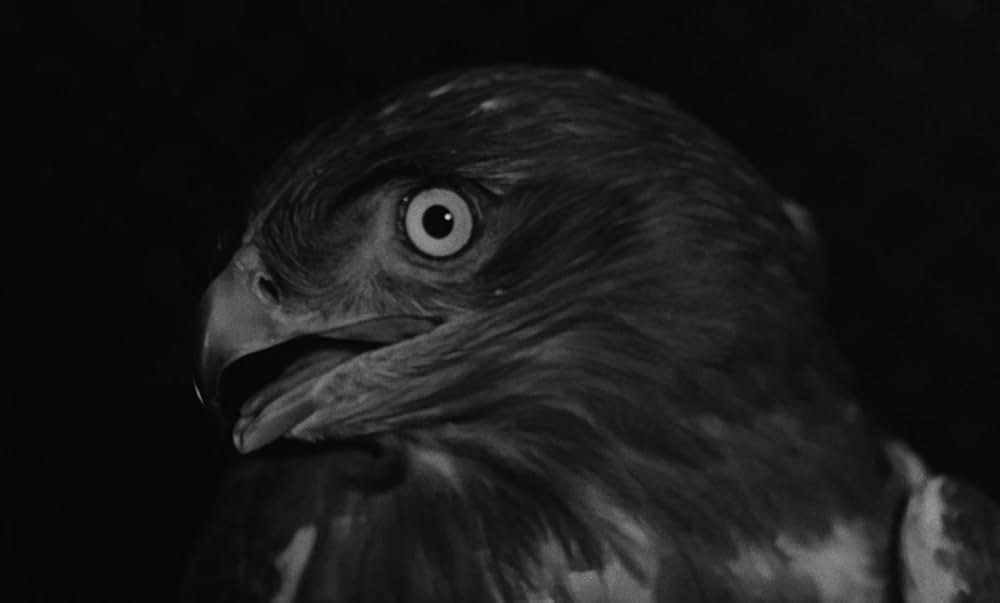 彼奴（きやつ）を殺（け）せの画像