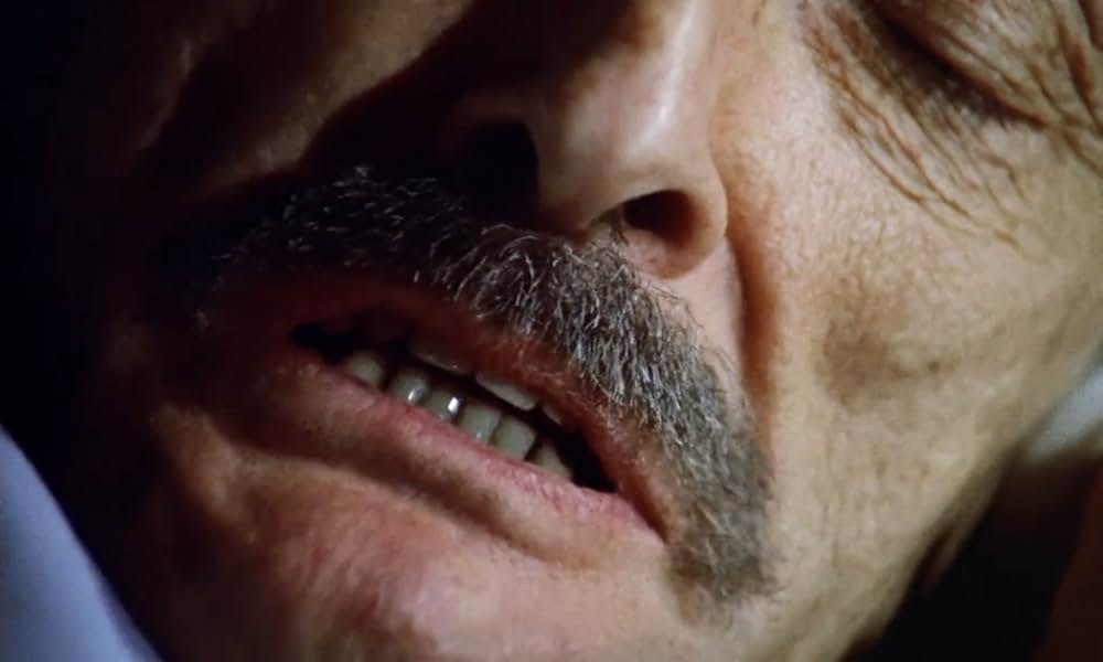 裂けた鉤十字／ローマの最も長い一日の画像