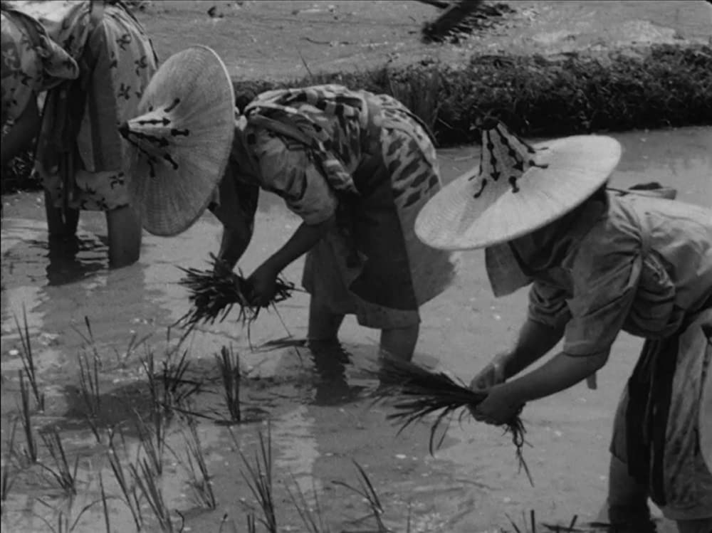 「七人の侍」の画像
