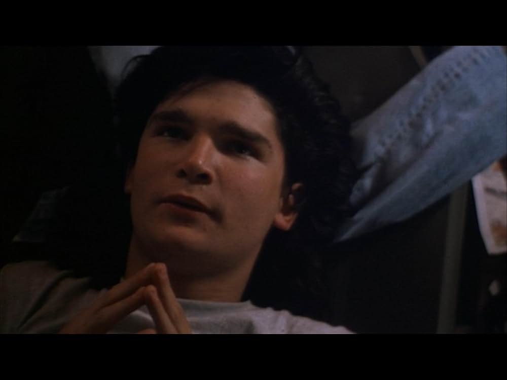 ドリーム・ドリームの画像