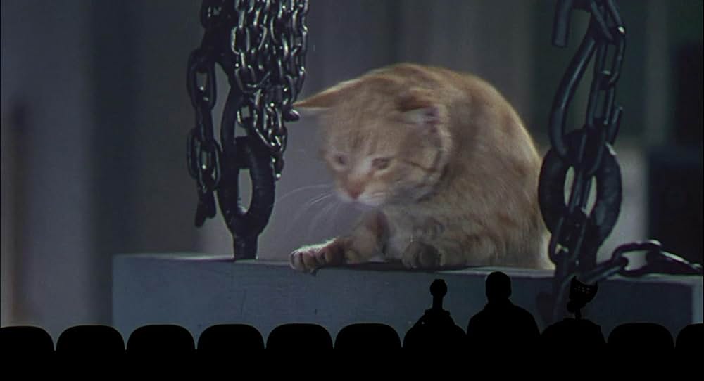 ミステリー・サイエンス・シアター3000劇場版／宇宙水爆戦の巻の画像