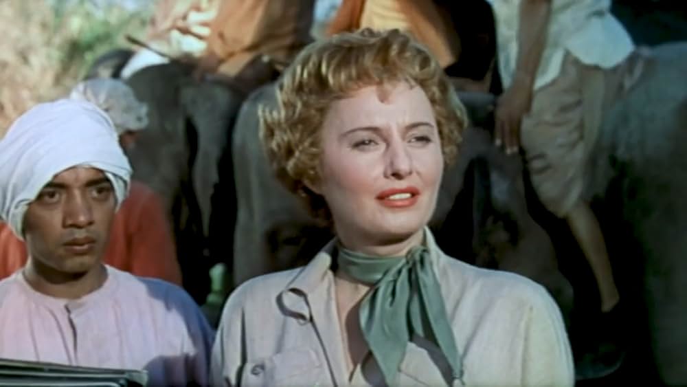 辺境の追跡の画像