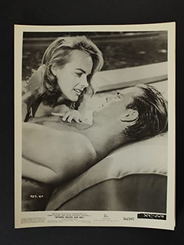 「ならず者部隊」ロバート・ワグナー & テリー・ムーアの画像