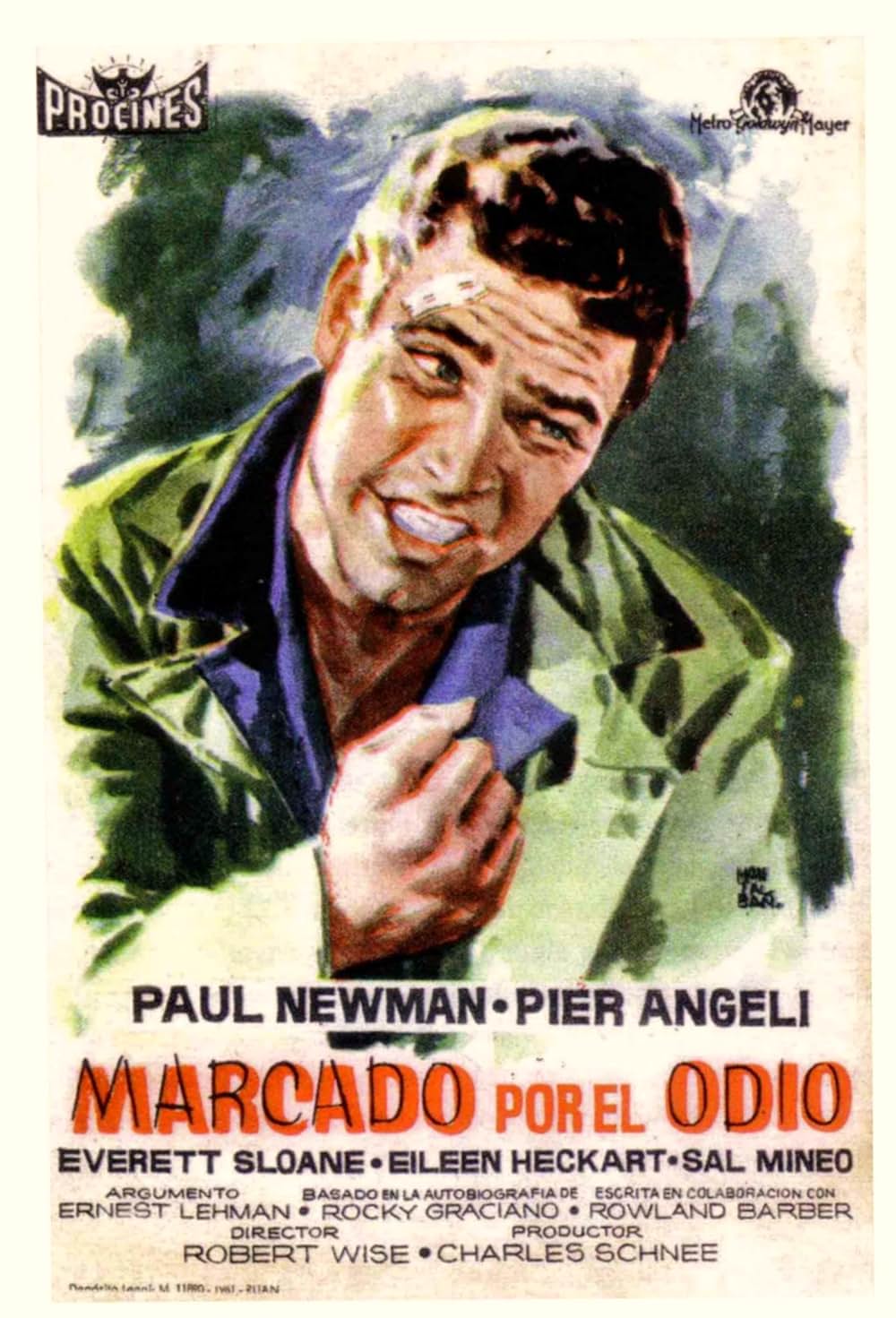 傷だらけの栄光の画像