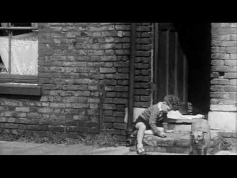 Of Time and the City（原題）の画像