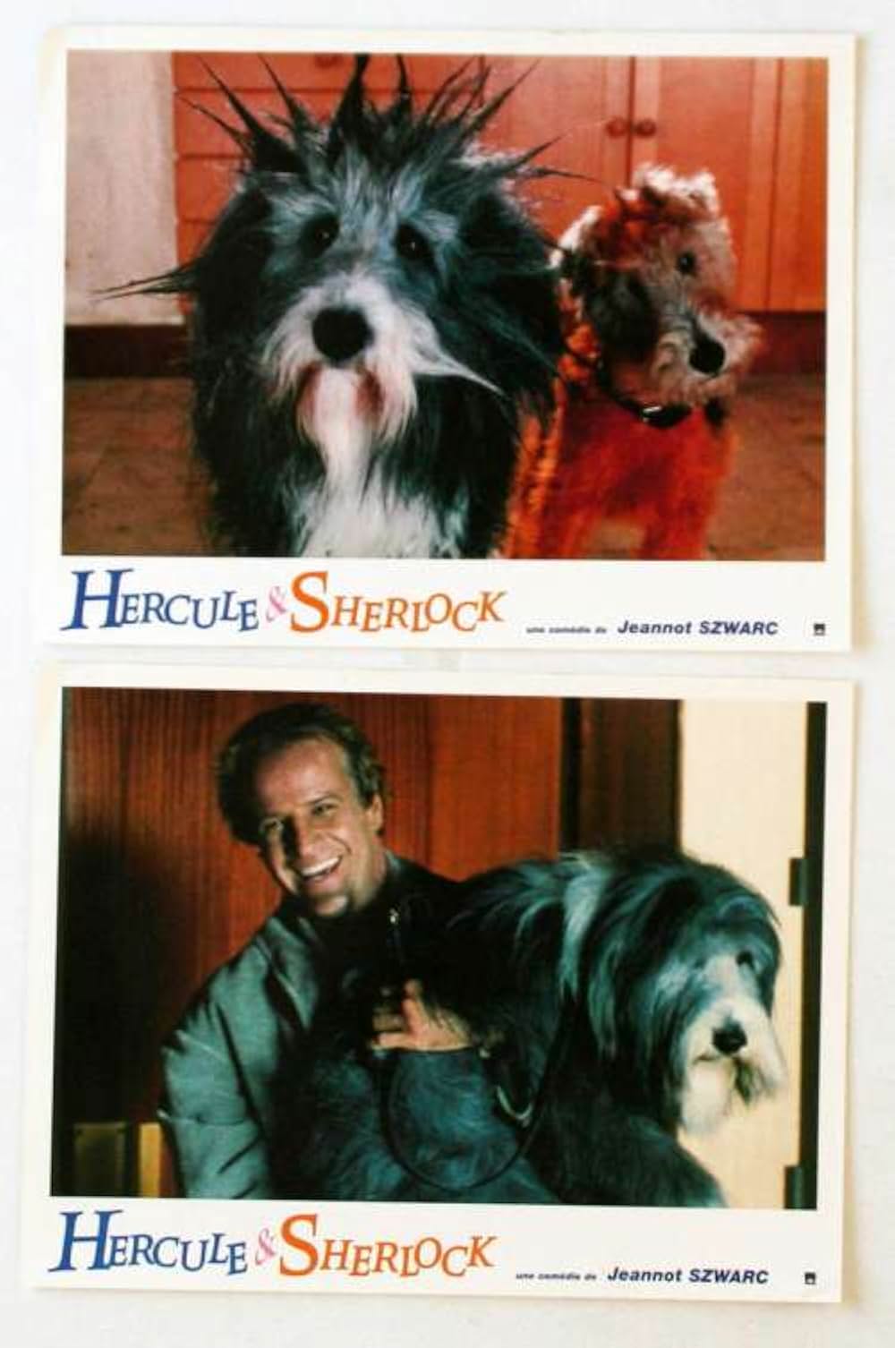 2dogs（トゥー・ドッグス）／エルキュールとシャーロックの画像