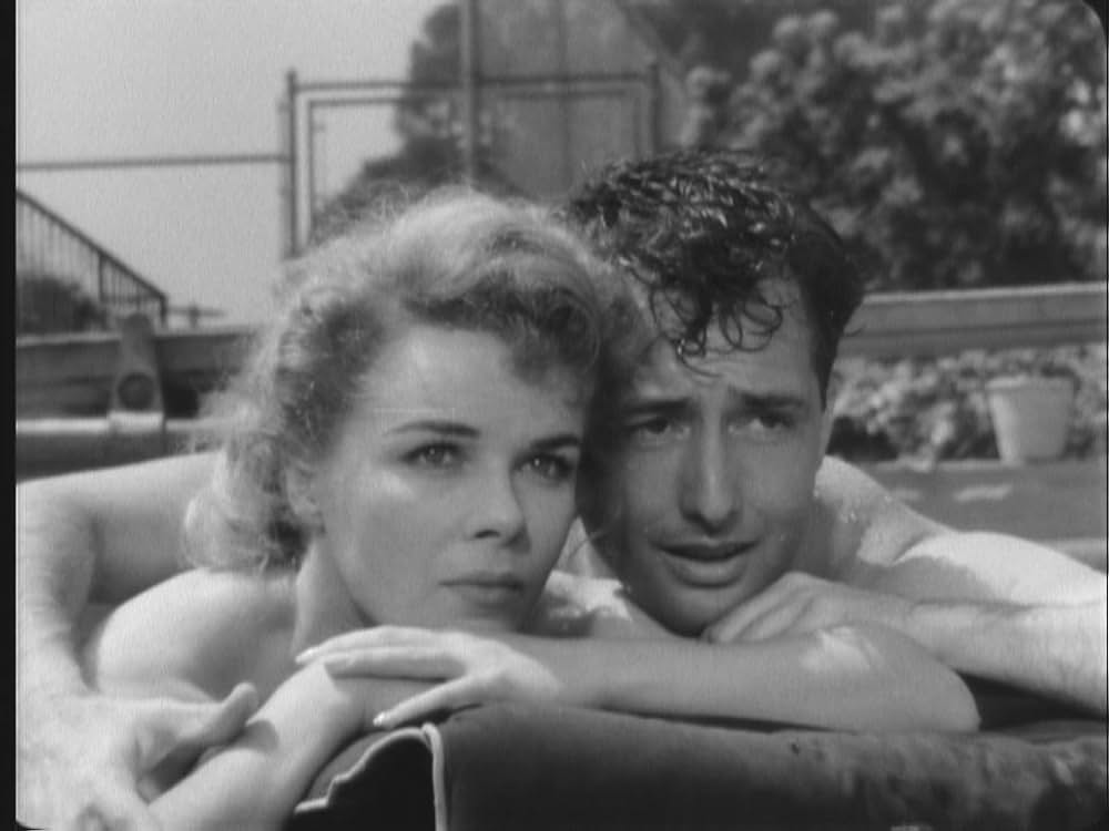 砂に咲くバラ／強く、速く、美しいの画像