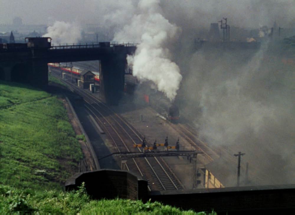 マダムと泥棒の画像