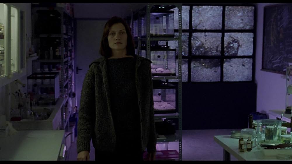 ダーク･チャイルド 血塗られた系譜の画像