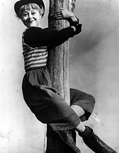 道（1954）の画像