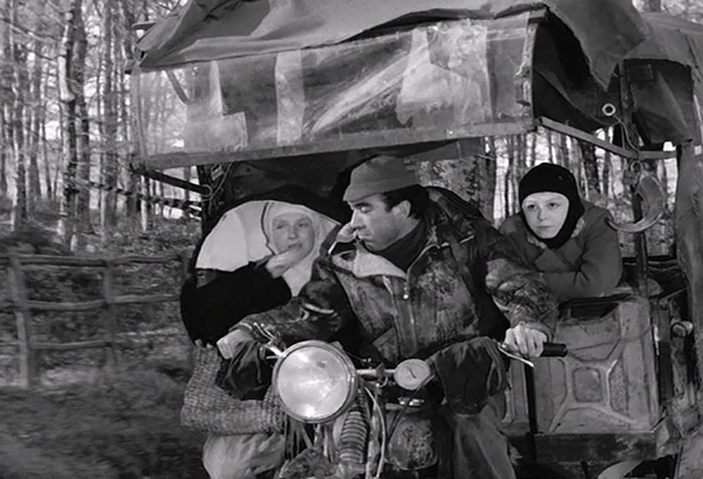 道（1954）の写真