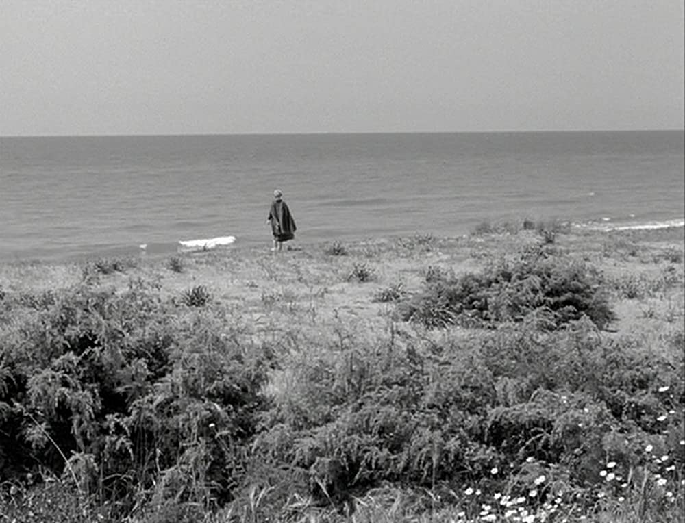 道（1954）の画像