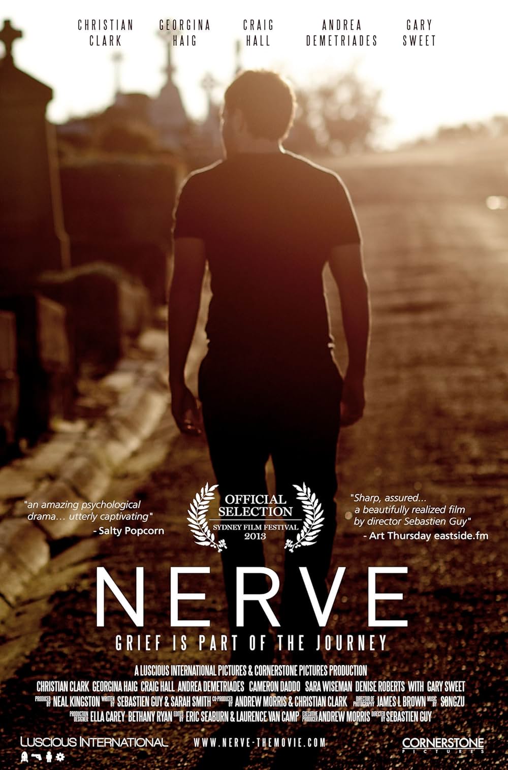 ナーヴ 失われたピースの画像