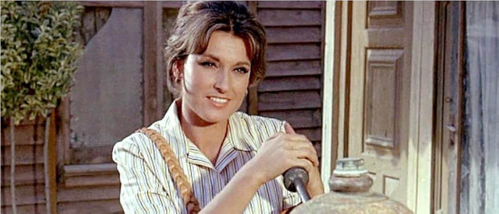 テキサス群盗団の画像