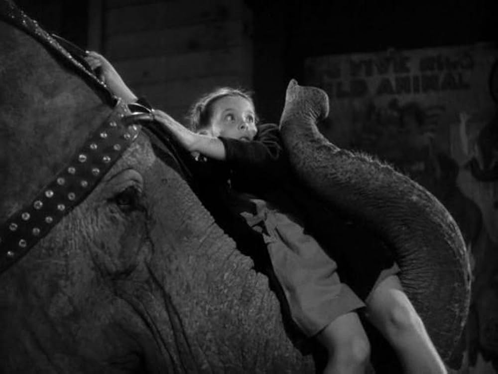 緑のそよ風の画像