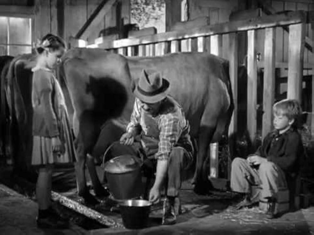 緑のそよ風の画像