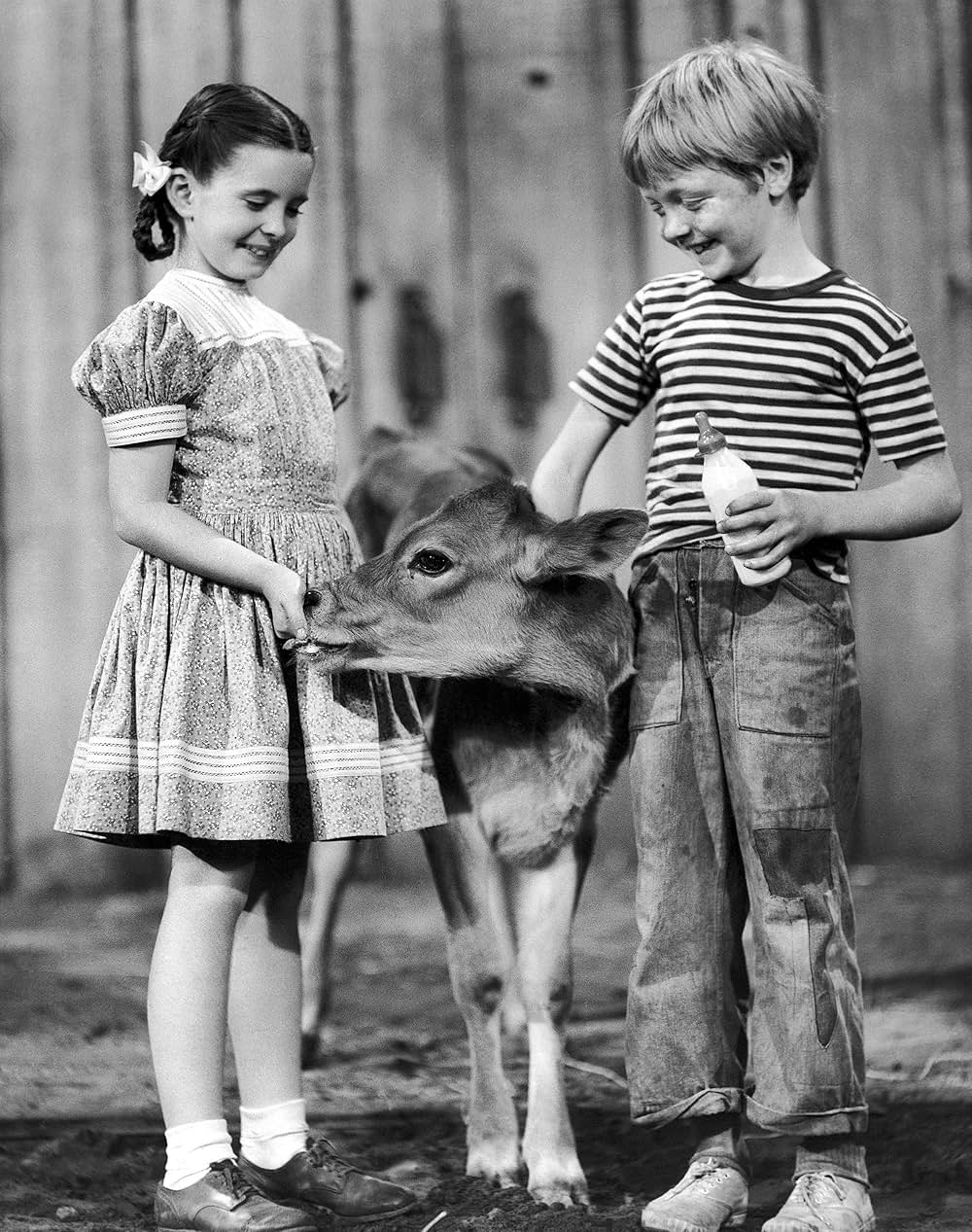 緑のそよ風の画像