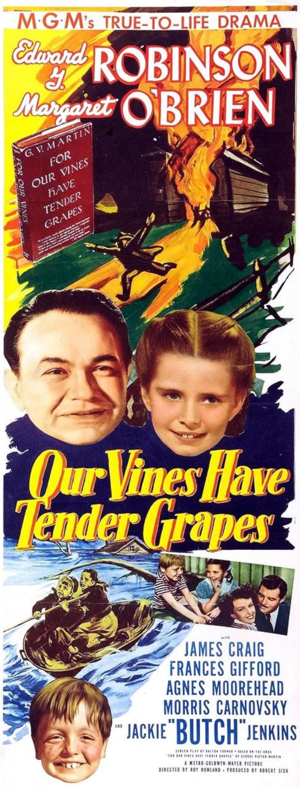 緑のそよ風の画像