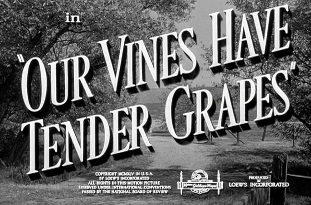 緑のそよ風の画像