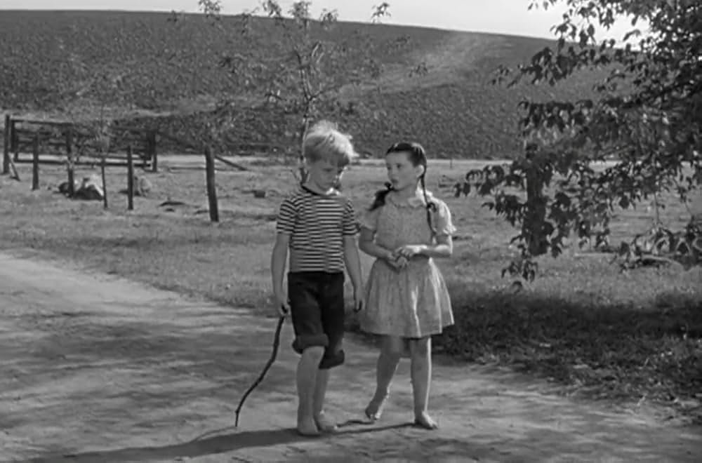 緑のそよ風の画像