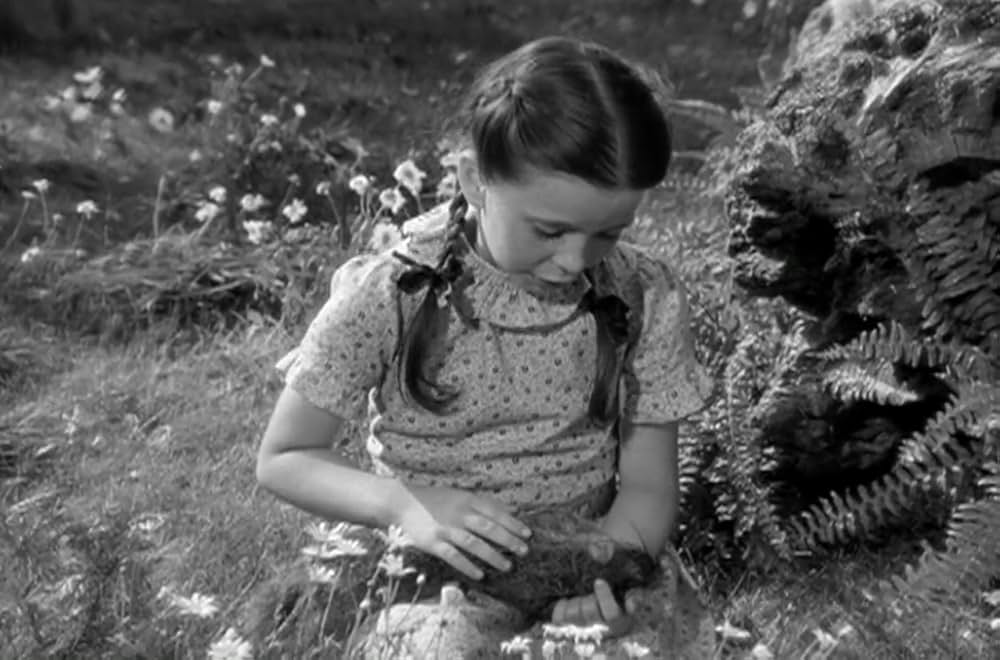 緑のそよ風の画像