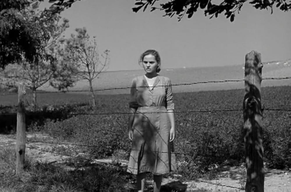 緑のそよ風の画像