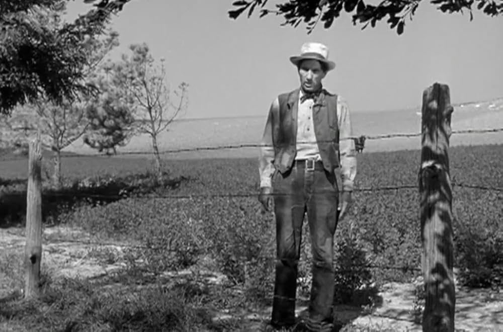 緑のそよ風の画像