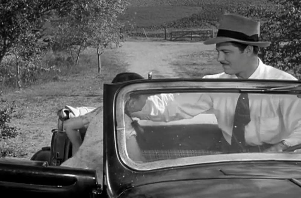 緑のそよ風の画像