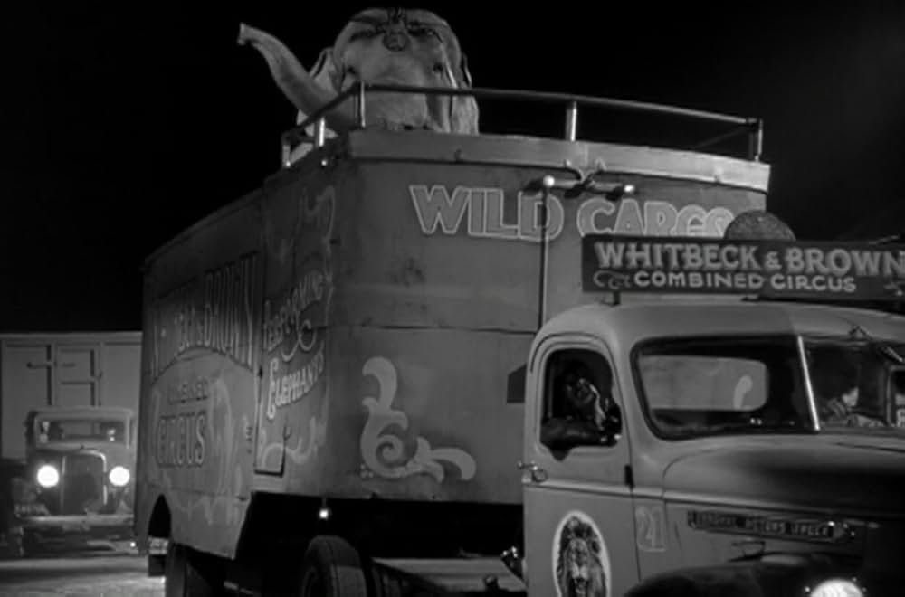 緑のそよ風の画像